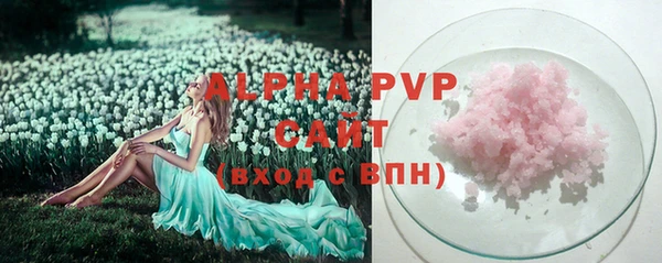 эйфоретик Баксан