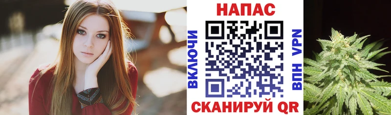 Бошки Шишки MAZAR  Шахты 